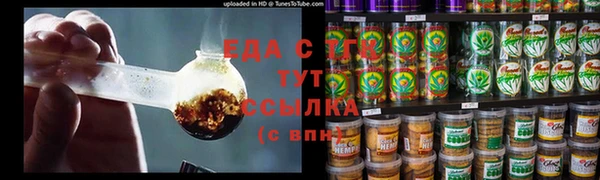 гидра Каменка
