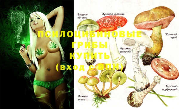 кокаин колумбия Каменногорск