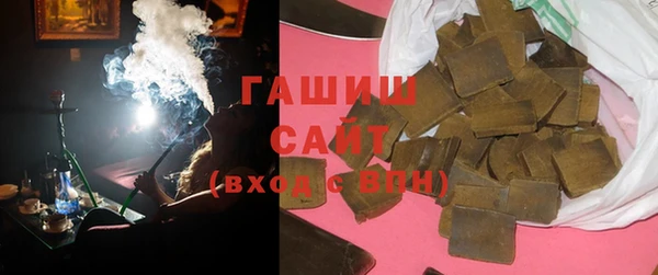 гидра Каменка