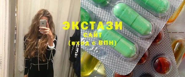 гидра Каменка