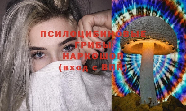 гидра Каменка