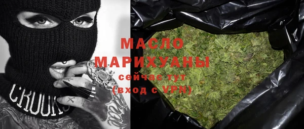 гидра Каменка