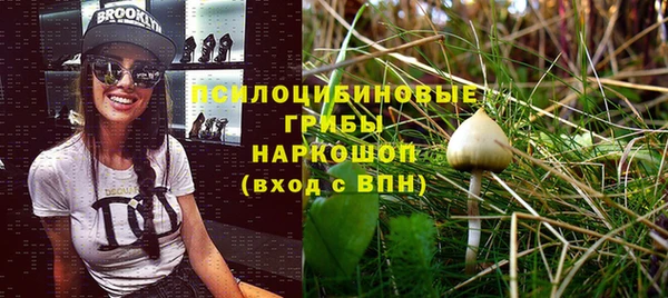 прущие крисы Каменск-Шахтинский