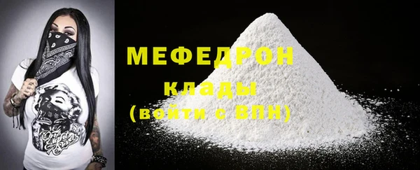 гидра Каменка