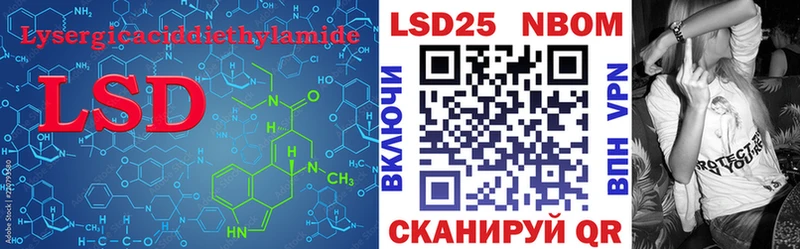 Купить закладки  Новозыбков  Лсд 25 экстази ecstasy 